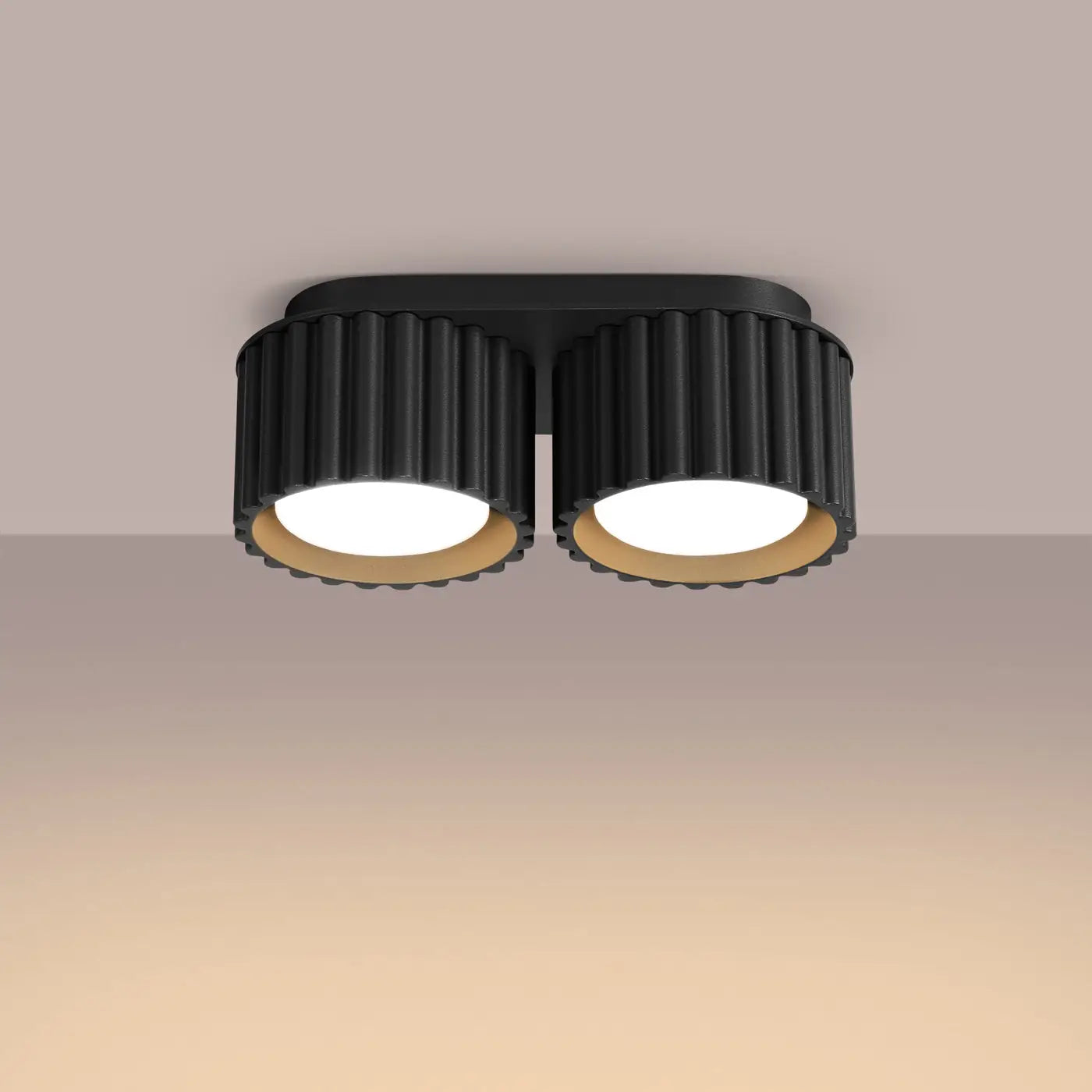 Plafonnier LED double spot noir aluminium | VAMA