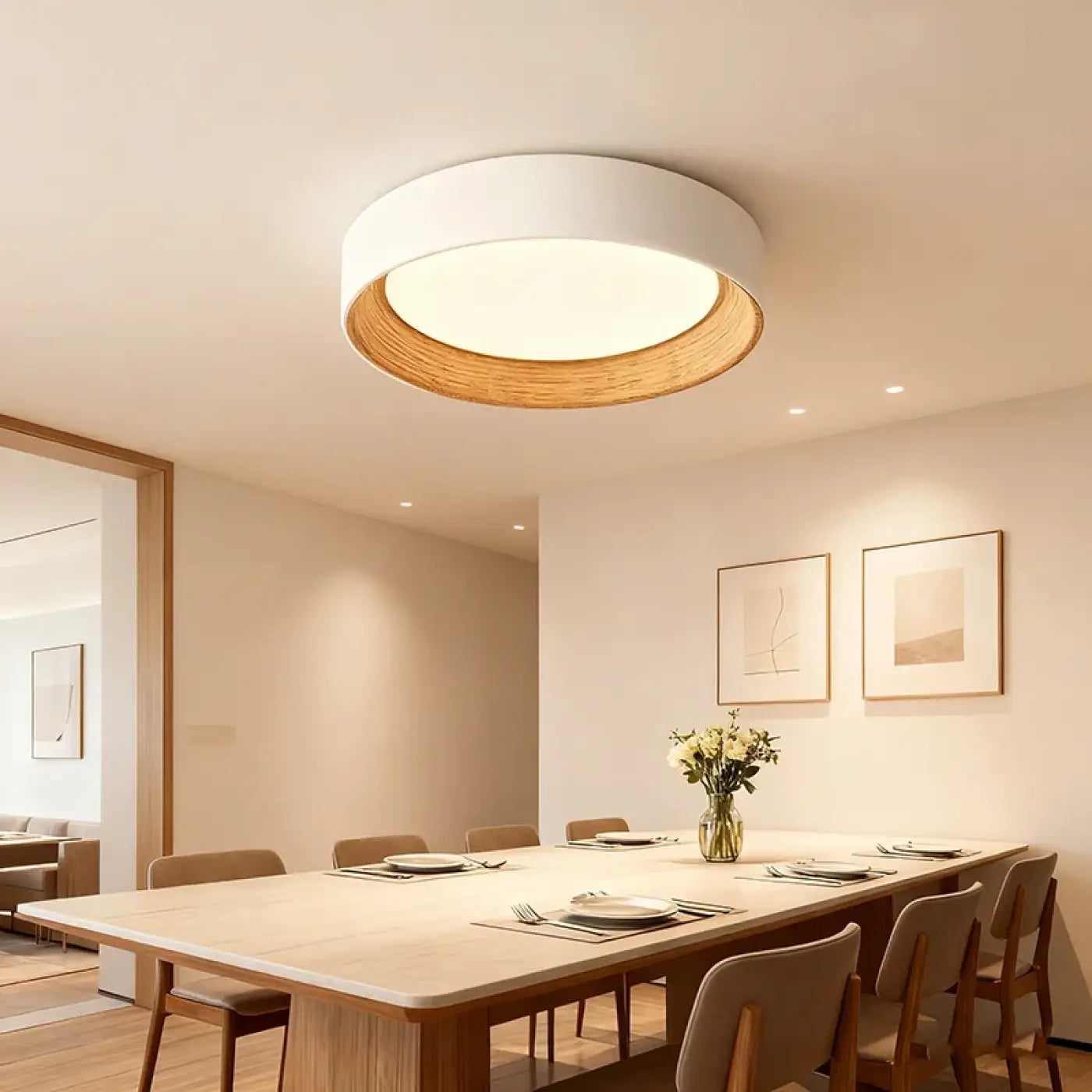 luminaire-plafonnier-moderne-elegant-style-raffine-lumiere-plafond-240.webp