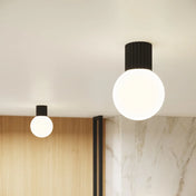 Plafonnier LED noir globe opalin IP44 | FODAHAN