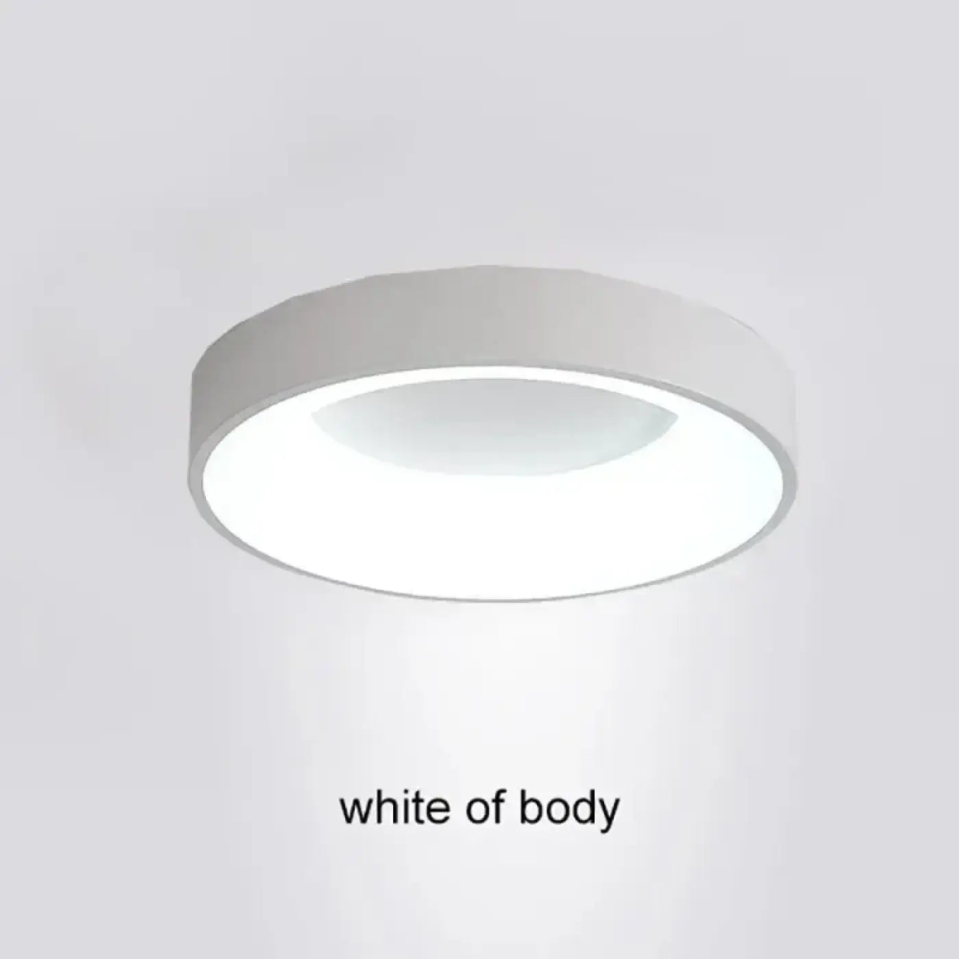 plafonnier-led-rond-ultra-fin-design-moderne-multicolore-ronde-blanc-802_1a8d3563-a448-42f8-8a01-496fed40c251.webp